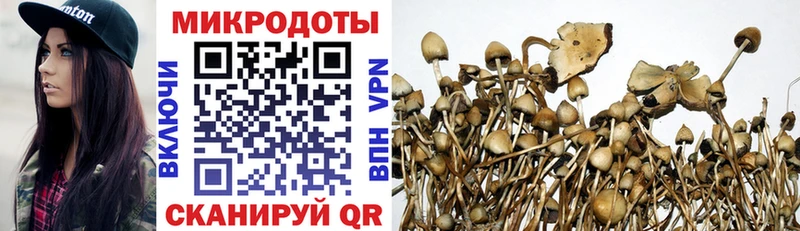 как найти закладки  Гуково  Псилоцибиновые грибы ЛСД 