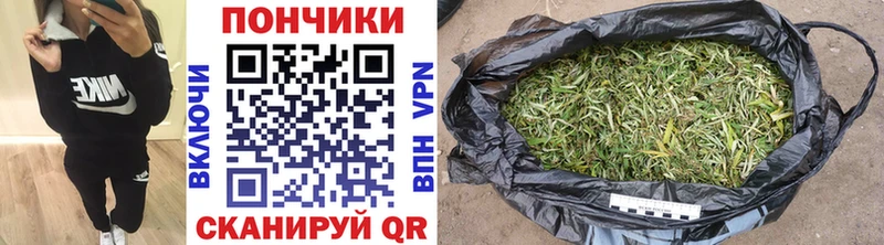 Бошки Шишки план Гуково